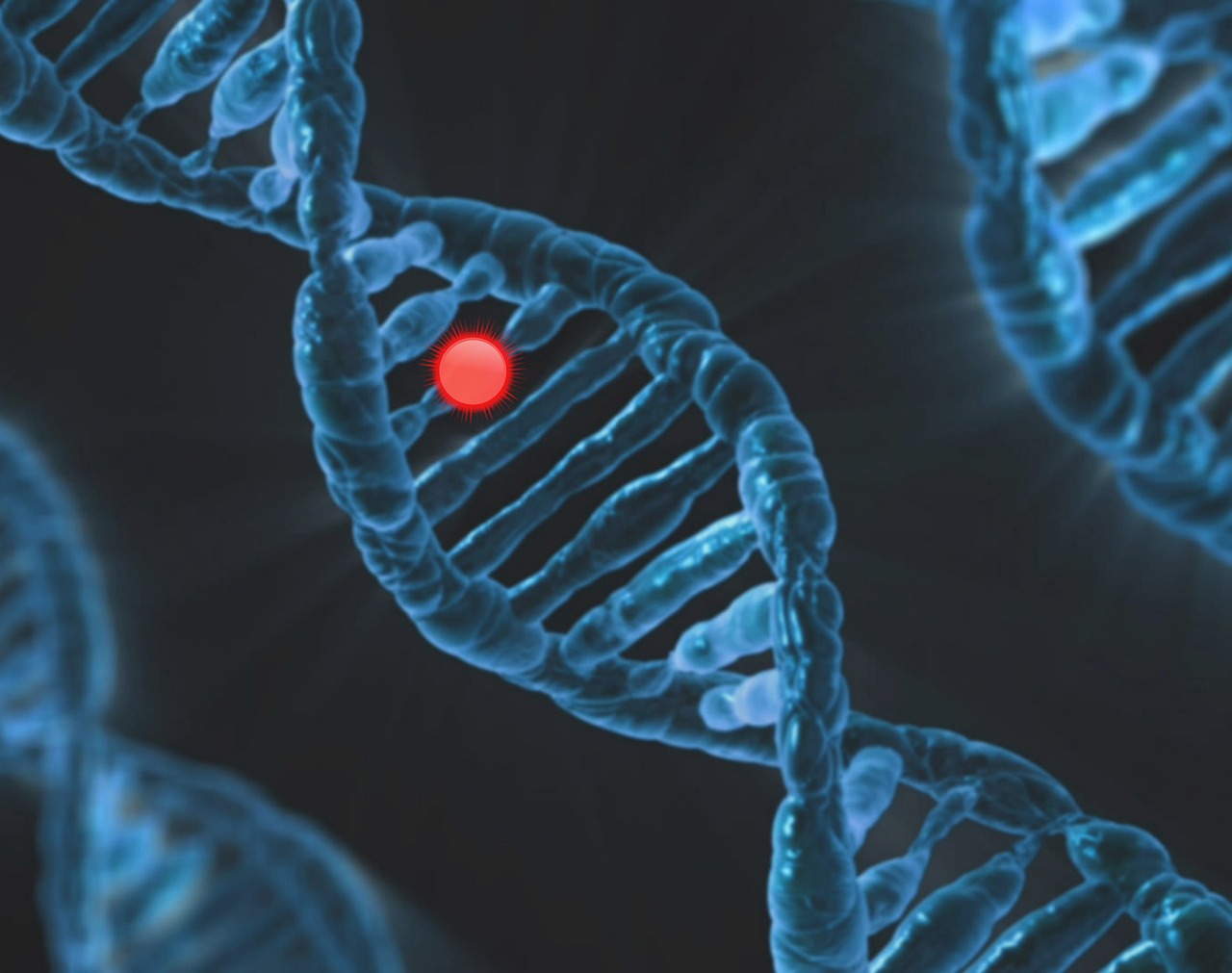 A ideia radical de que não somos nós que nos reproduzimos — somos apenas veículos dos nossos genes