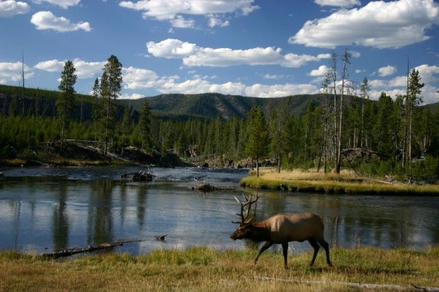 Wären Nationalparks in den Händen des Privatsektors besser dran?