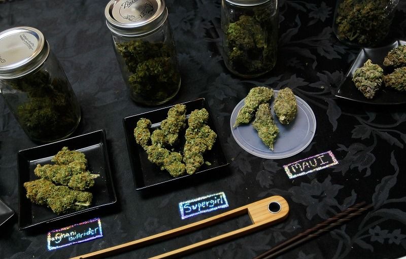 Auf einer Tabelle sind eine Reihe von Marihuana-Proben zu sehen, von denen einige hohe THC- und CBD-Werte enthalten